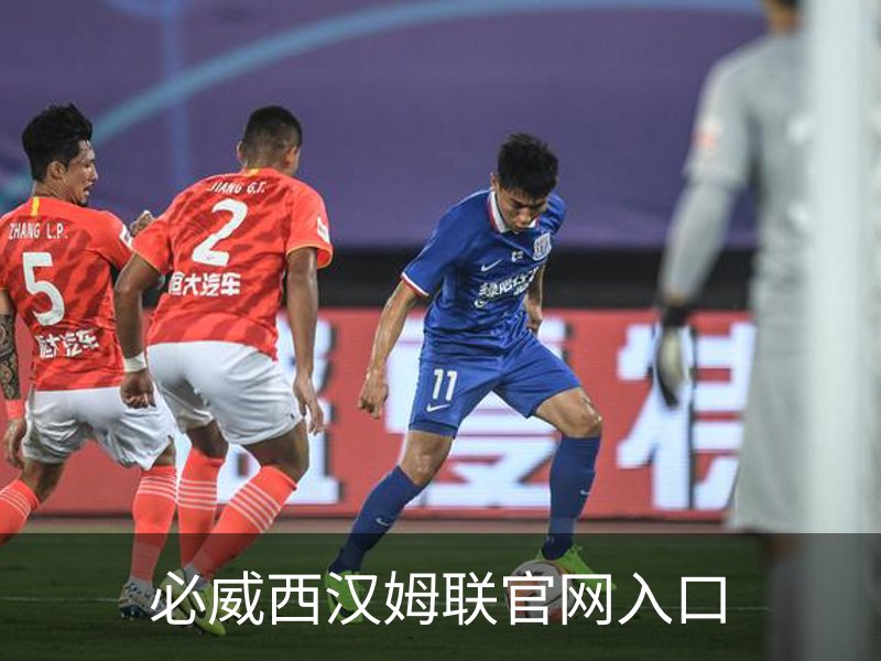 必威西汉姆联官网入口概况